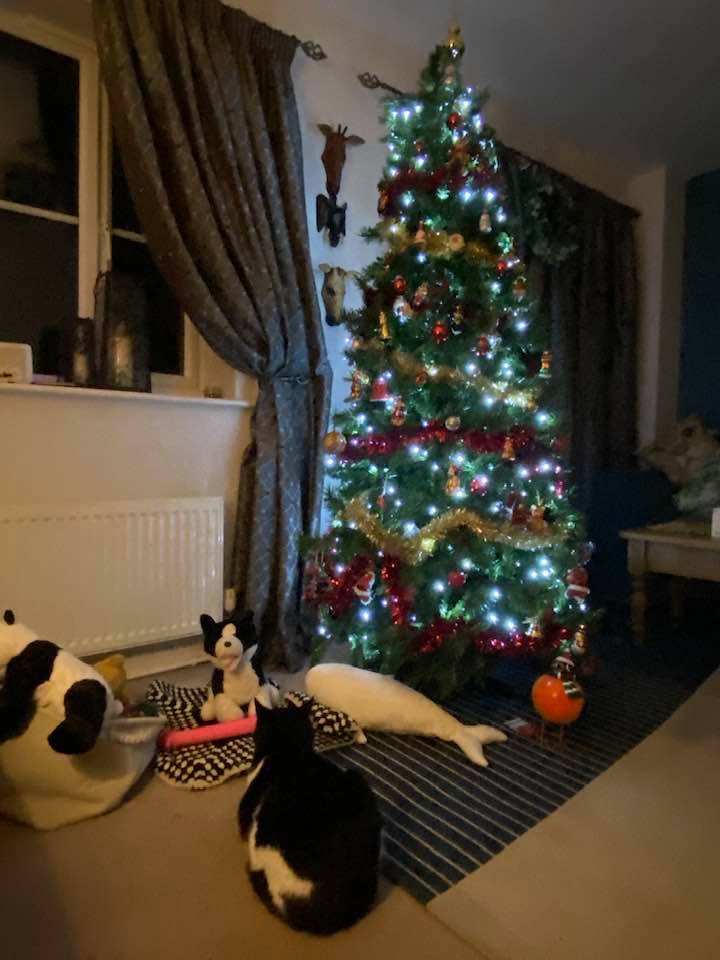 xmastreeand ptolemy n